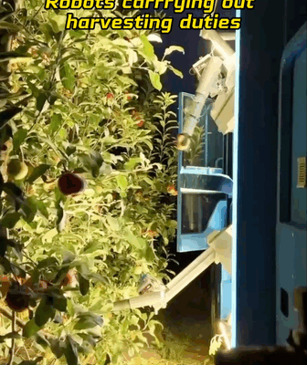 Agri-Bots Revolutionise Orchard Life 🚜🤖 video poster