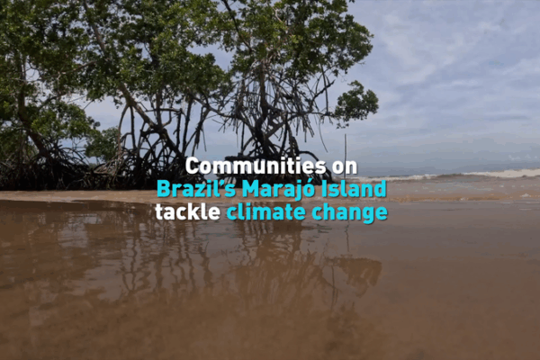 How Marajó Island’s Communities Are Tackling Rising Tides video poster