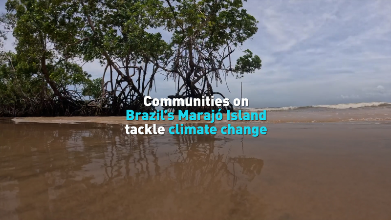 How Marajó Island’s Communities Are Tackling Rising Tides video poster