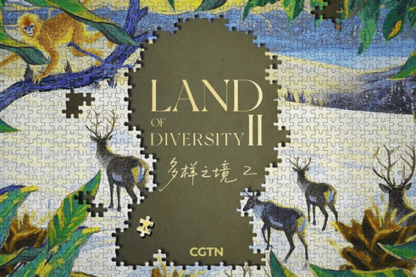 Land_of_Diversity_II__Humans___Biosphere_Unite video poster