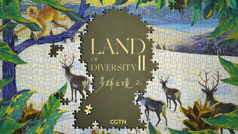 Land_of_Diversity_II__Humans___Biosphere_Unite video poster