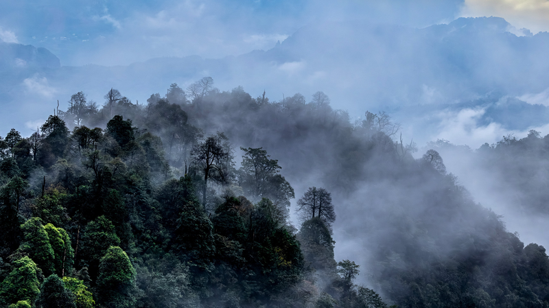 Laojunshan_Reserve__A_Window_into_the_Chinese_mainland_s_Wild_Southwest