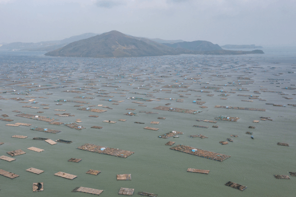 Vietnam’s South-Central Floods Break 50-Year Record 🌊