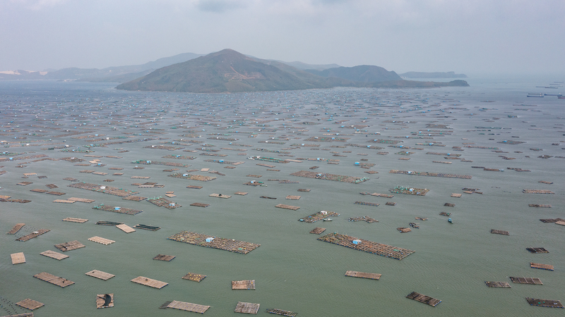 Vietnam’s South-Central Floods Break 50-Year Record 🌊