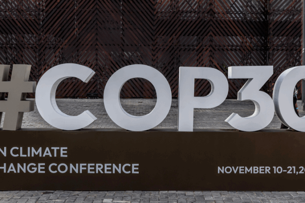 China’s Call for Global Rainforest Protection 🌍🌳