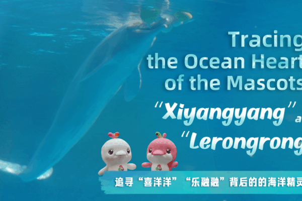 Ocean_Heart_of_Xiyangyang___Lerongrong__The_Dolphin_Inspiration video poster