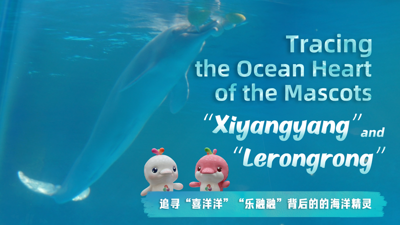 Ocean_Heart_of_Xiyangyang___Lerongrong__The_Dolphin_Inspiration_poster - Namaste Headlines Ocean_Heart_of_Xiyangyang___Lerongrong__The_Dolphin_Inspiration video poster