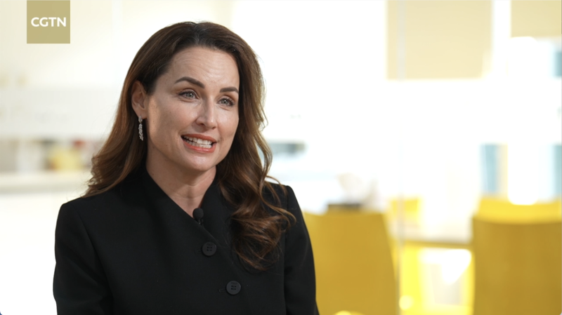 Pierre_Fabre___Sinopharm_Team_Up_to_Boost_Anti_Cancer_Drugs_in_the_Chinese_Mainland video poster