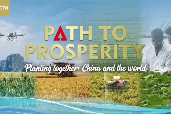 Planting_Together__Chinese_Mainland_Farming_Tech_Powers_Global_Harvests video poster
