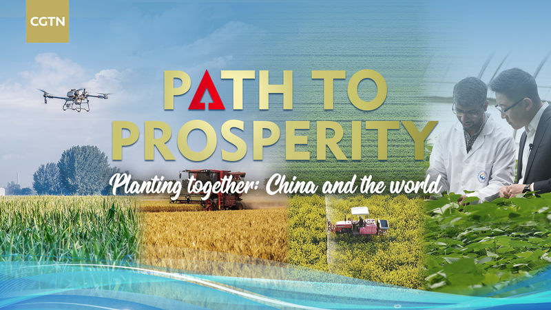Planting_Together__Chinese_Mainland_Farming_Tech_Powers_Global_Harvests video poster