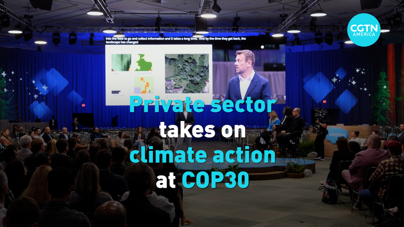 Private_Sector_Goes_Green__Climate_Tech_Takes_Center_Stage_at_COP30 video poster