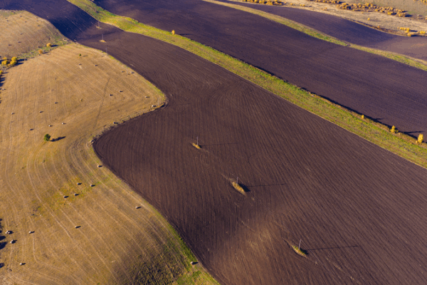 Reviving_Black_Soil_in_the_Chinese_Mainland_for_Food_Security