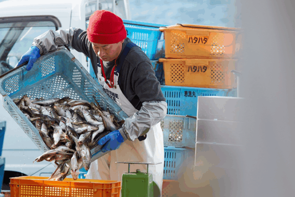 Rising_China_Japan_Tensions_Ripple_Through_Okinawa_s_Fishing_Industry video poster