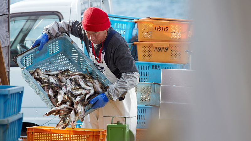 Rising_China_Japan_Tensions_Ripple_Through_Okinawa_s_Fishing_Industry video poster
