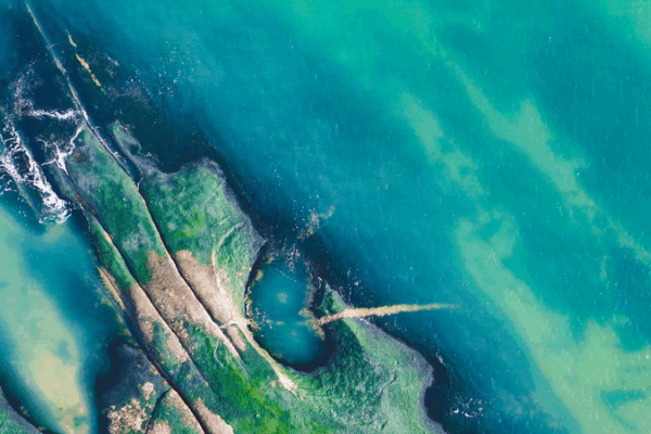 Rizhao_s_Winter_Coast__Azure_Waters___Golden_Sands