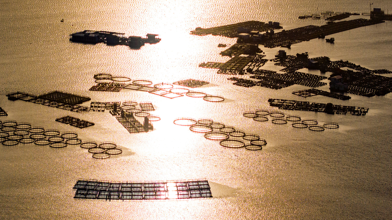 Inside Lingshui’s Tanka Sea Nomads: 500+ Years of Floating Life