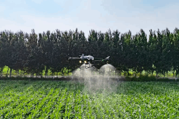 Smart_Farming_Fuels_Bountiful_Harvest_in_the_Chinese_Mainland