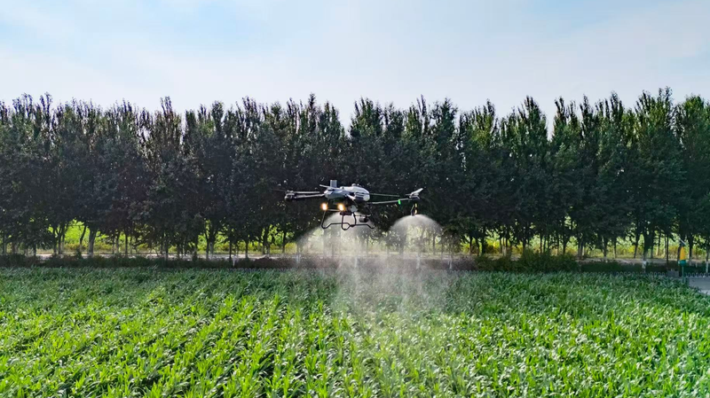 Smart_Farming_Fuels_Bountiful_Harvest_in_the_Chinese_Mainland - Namaste Headlines Smart_Farming_Fuels_Bountiful_Harvest_in_the_Chinese_Mainland