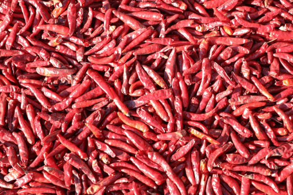 Spice_Alert__Gel_Based__Chili_Meter__Tongue_Measures_Heat