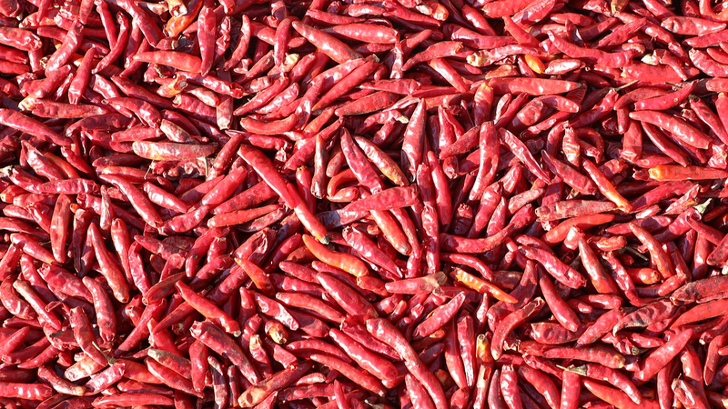 Spice_Alert__Gel_Based__Chili_Meter__Tongue_Measures_Heat