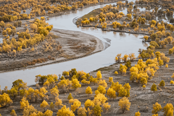 Taklimakan_Desert_in_Xinjiang_Goes_Green__38_000_Acres_Bloom_on_the_Chinese_Mainland video poster