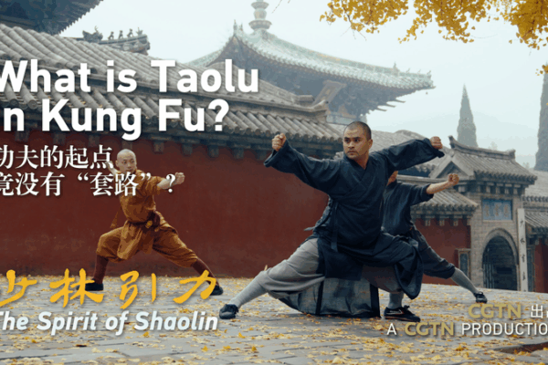 Taolu_101__Decoding_Shaolin_Kung_Fu_Routines video poster