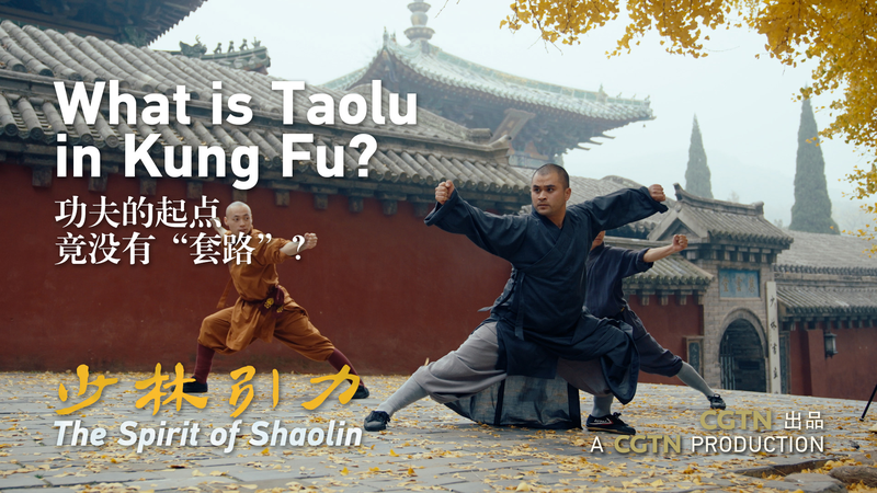 Taolu_101__Decoding_Shaolin_Kung_Fu_Routines_poster - Namaste Headlines Taolu_101__Decoding_Shaolin_Kung_Fu_Routines video poster