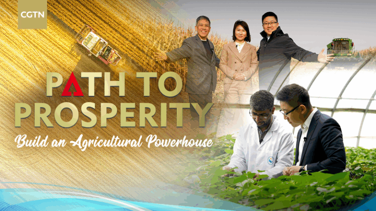 UOUTNYDFGIINW88CED5I - Namaste Headlines From Seed to Supper: How AgriTech is Powering the Chinese Mainland’s Farms video poster