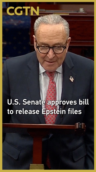 US_Congress_Unanimously_Approves_Epstein_Files_Release video poster