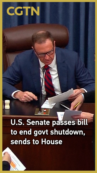 US_Senate_Passes_Bill_to_End_Shutdown__Heads_to_House video poster