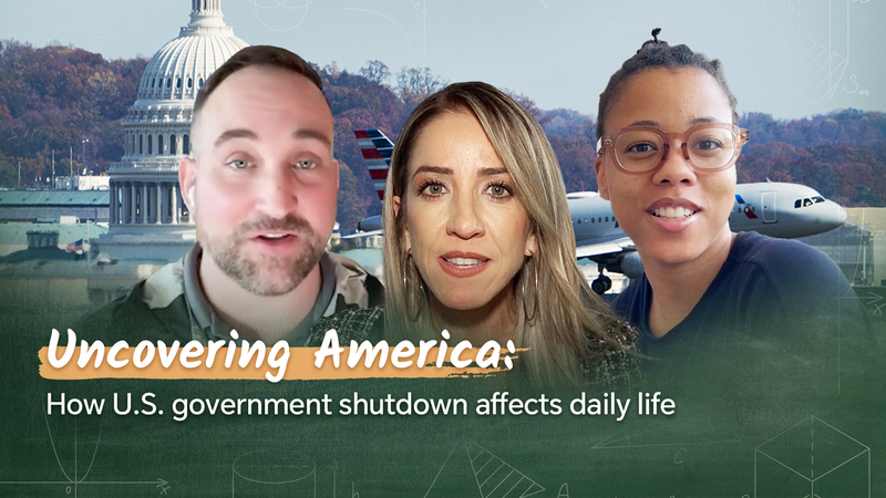 U_S__Shutdown_Hits_Day_42__Millions_Affected_and_Travel_Delays_Grow video poster