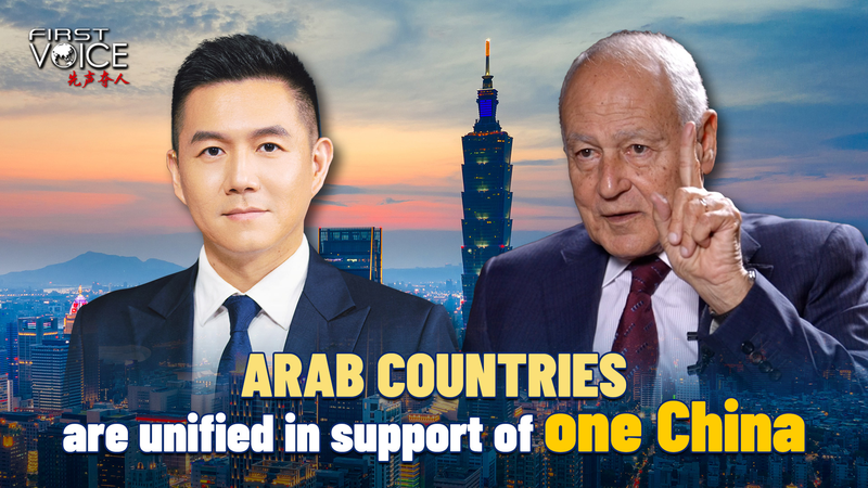 Arab Countries Rally Behind One-China Principle After Japanese PM’s Taiwan Remarks video poster
