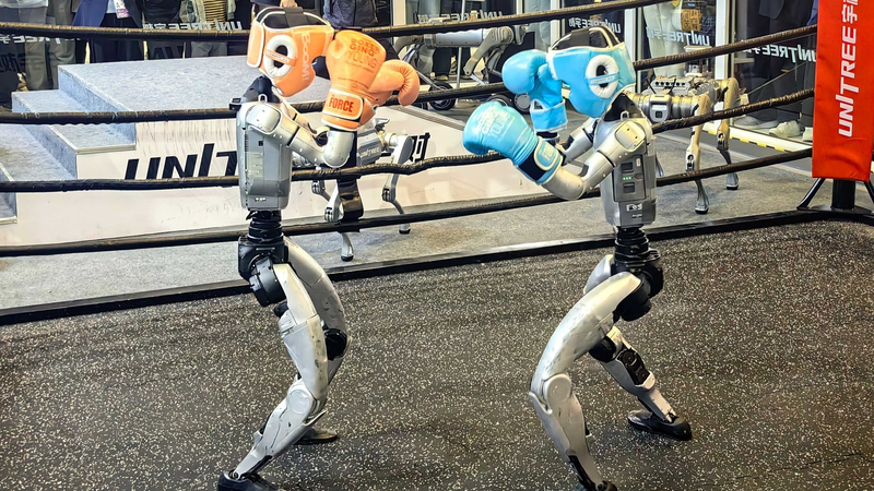 Why_the_Chinese_Mainland_Tops_Global_Market_Feedback_at_CIIE video poster