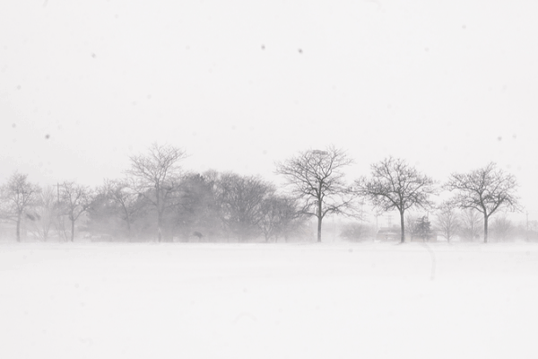 Winter_Storm_Warning_in_Michigan__Road_Conditions___Safety_Tips video poster