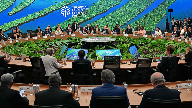 World_leaders_kickstart__5B_fund_to_protect_tropical_forests - Namaste Headlines World_leaders_kickstart__5B_fund_to_protect_tropical_forests