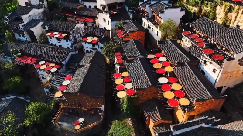 Wuyuan_Autumn_Tour__Colorful_Harvest_Amid_Hui_Style_Architecture video poster