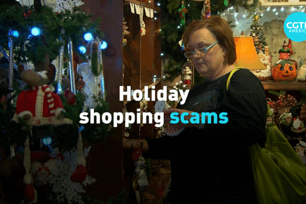 Holiday Shopping Scams: Stay Safe This Black Friday 🛡️ video poster
