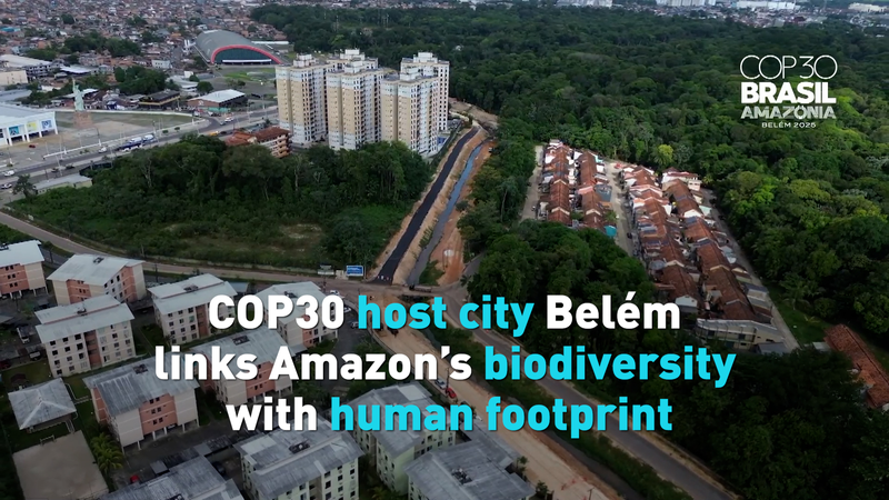 Belém's COP30 Glow-Up: Amazon's Gateway Levels Up for Climate Talks video poster