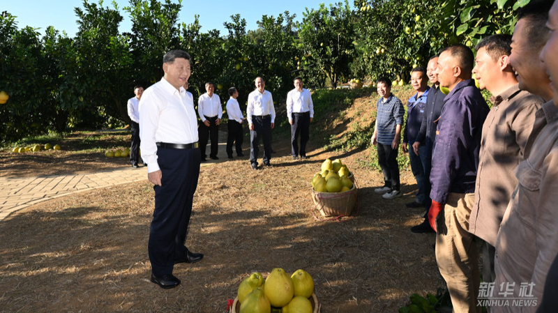 Xi_Jinping_Tours_Meizhou_in_Guangdong__Pomelos__Parks___Rural_Revival - Namaste Headlines Xi_Jinping_Tours_Meizhou_in_Guangdong__Pomelos__Parks___Rural_Revival