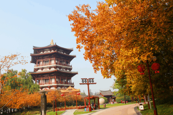 Xi_an_s_Tang_Paradise_Lights_Up_in_Autumn_Hues