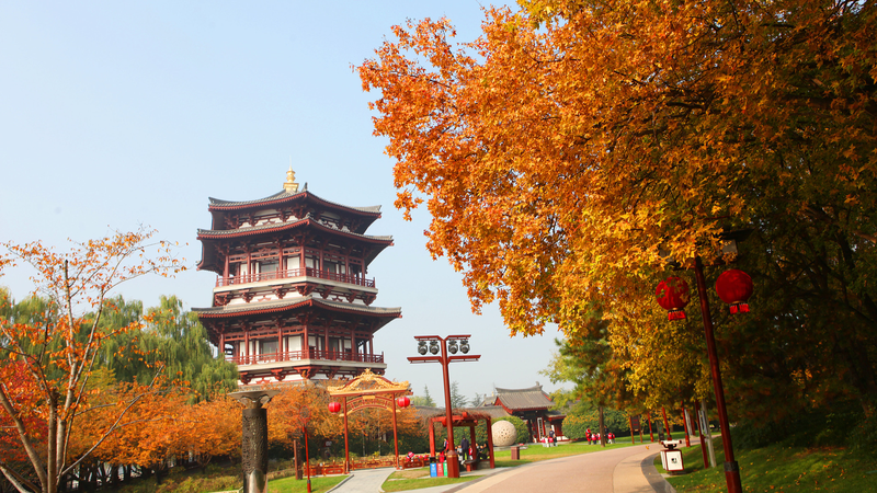 Xi_an_s_Tang_Paradise_Lights_Up_in_Autumn_Hues - Namaste Headlines Xi_an_s_Tang_Paradise_Lights_Up_in_Autumn_Hues