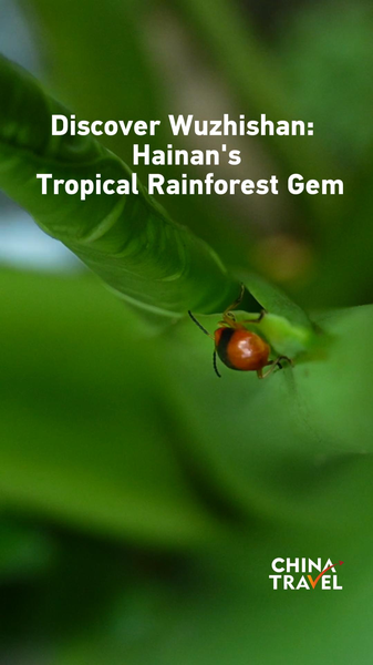 Discover Wuzhishan: Hainan’s Tropical Rainforest Gem 🌴 video poster