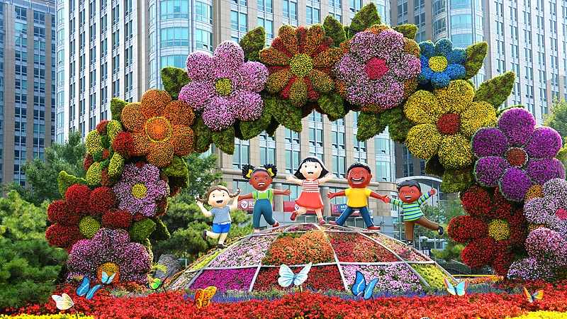 6 Key Insights into China's Diplomacy and Shared Future 🌍