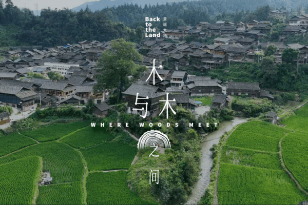 Where Woods Meet: Dong Villages’ Nail-Free Homes video poster