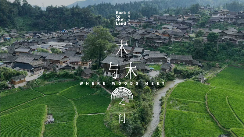 Where Woods Meet: Dong Villages’ Nail-Free Homes video poster