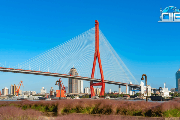 Yangpu_Riverfront__From_Industrial_Hub_to_Serene_Riverside_Escape video poster