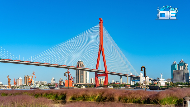 Yangpu_Riverfront__Shanghai_s_Industrial_Chic_Riverside_Retreat video poster