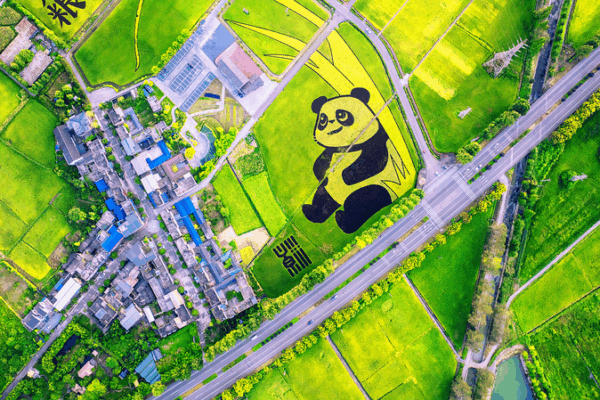 Young_Innovators_on_the_Chinese_Mainland_Use_Tech_to_End_Hunger