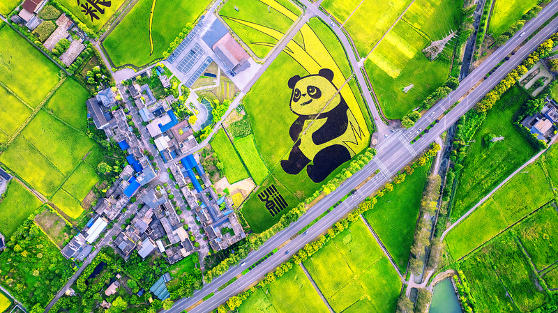 Young_Innovators_on_the_Chinese_Mainland_Use_Tech_to_End_Hunger - Namaste Headlines Young_Innovators_on_the_Chinese_Mainland_Use_Tech_to_End_Hunger