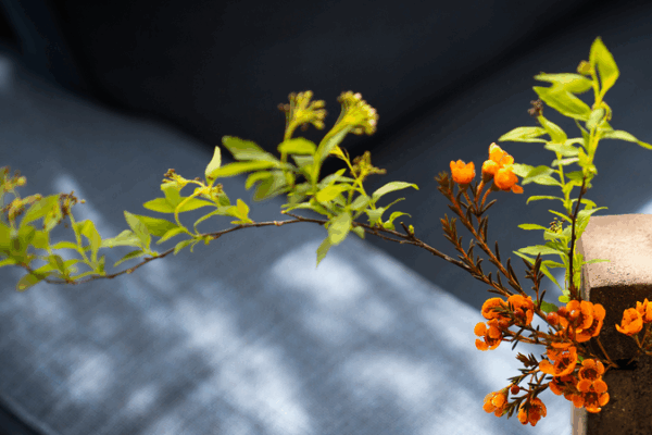 Slow Down and See: China’s Subtle Art of Noticing